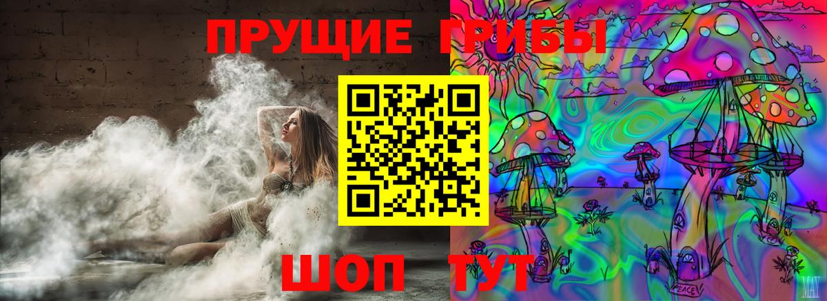 Галлюциногенные грибы мицелий  Вход с VPN  Котовск 